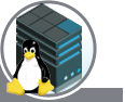 VPS server (Linux)