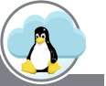 Cloud VDS (Linux)