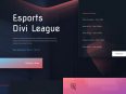 esports-landing-page-116x87.jpg